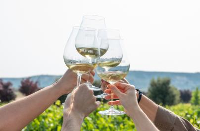 Las mejores bodegas a tu alcance