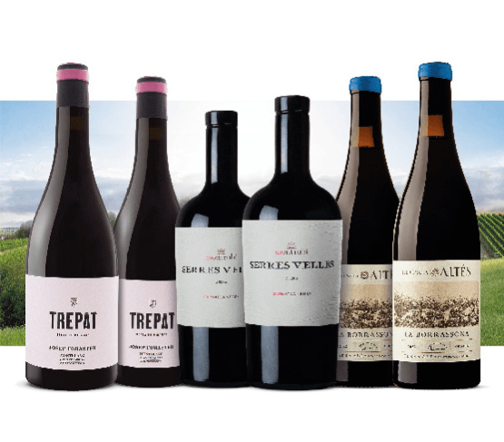 Tres vinos con altas puntuaciones en la guía Parker