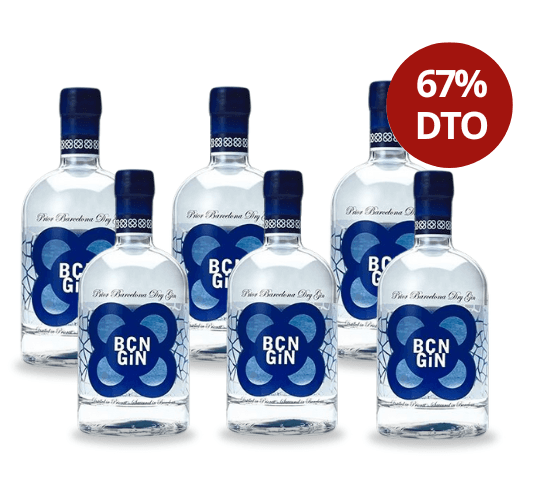 REBAJAS BCN Gin 6 Botellas