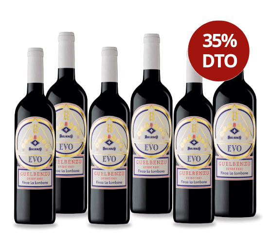 REBAJAS GUELBENZU Evo 2018 Tinto 6 botellas
