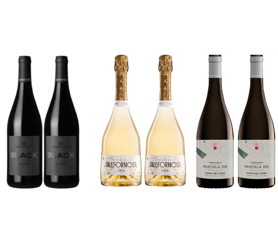 CHOLLO - 12 botellas premium por 69 €