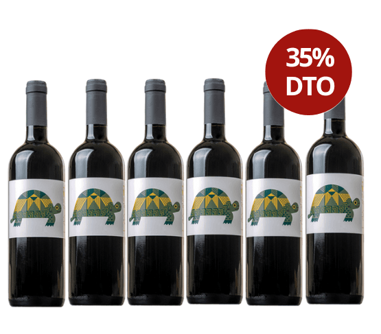 REBAJAS VINS DE TALLER Tortuga 2021 6 Botellas