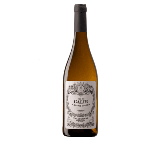 VIRGEN DEL GALIR Val do Galir Godello 2021 Magnum 1,5l