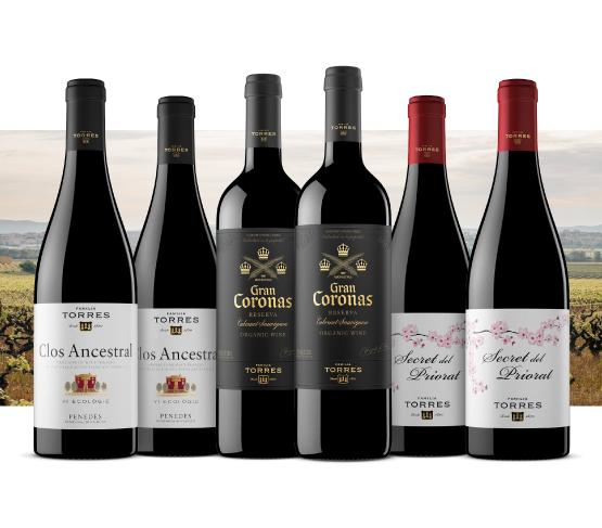 Selección Familia Torres