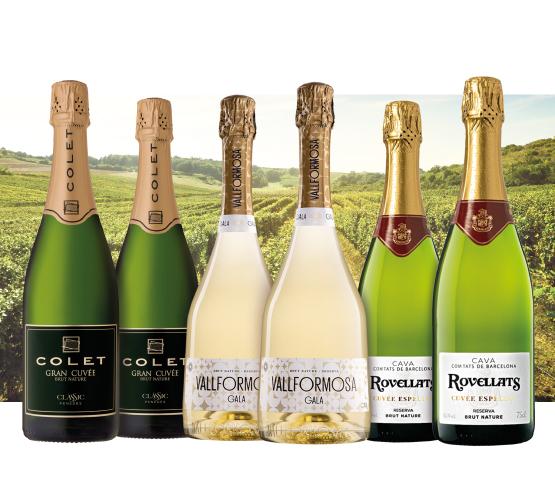 El brindis del momento